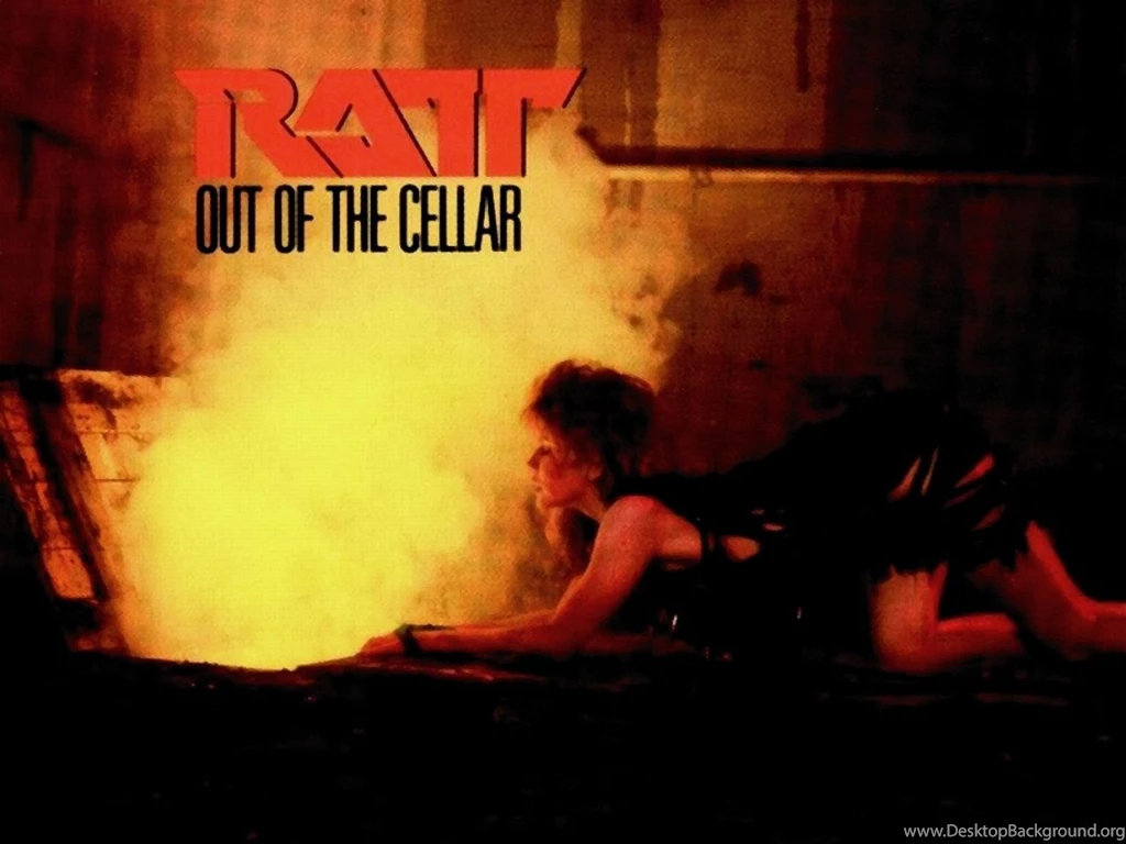 6 Ratt HD Wallpapers