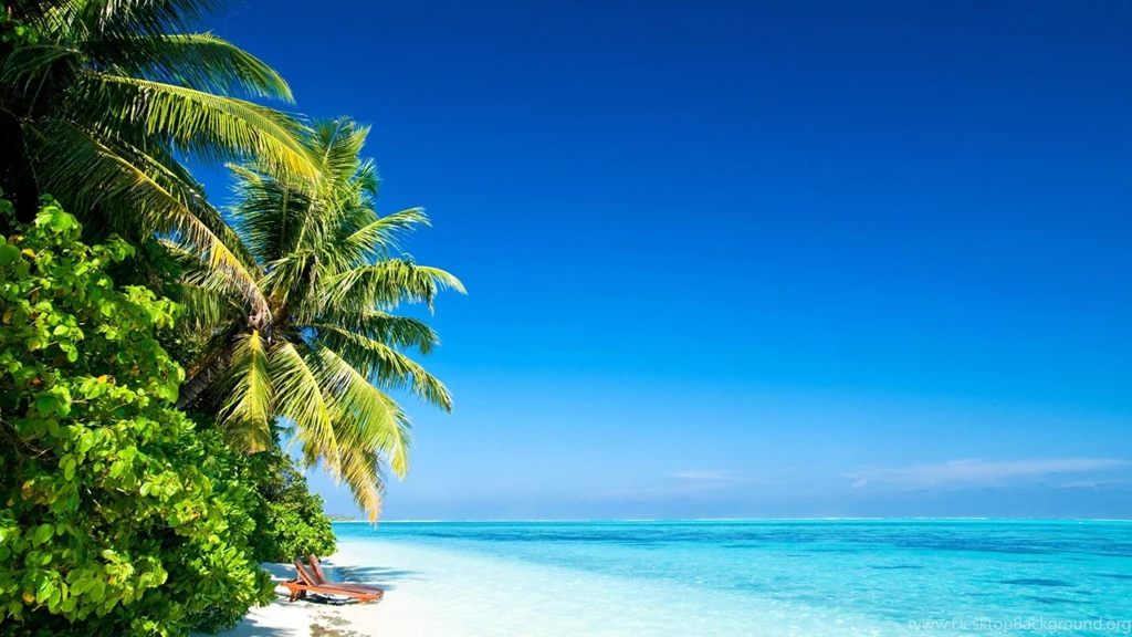 Tropical Beach Nexus Wallpapers