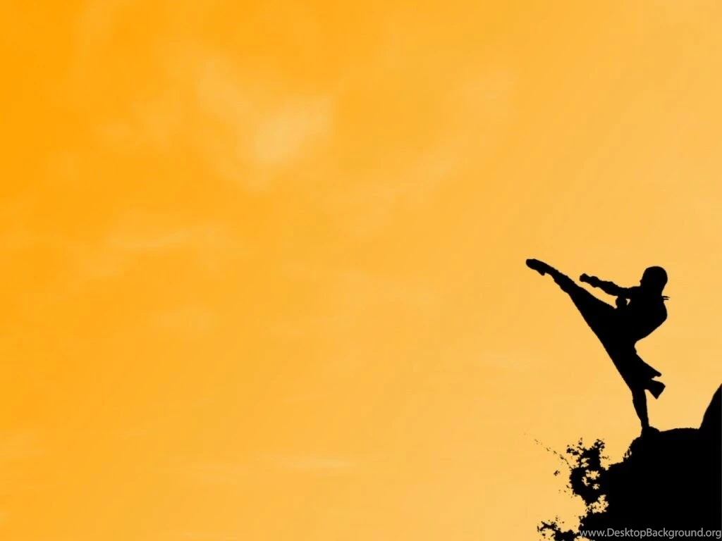 Martial Arts Wallpapers Wallpapers Cave