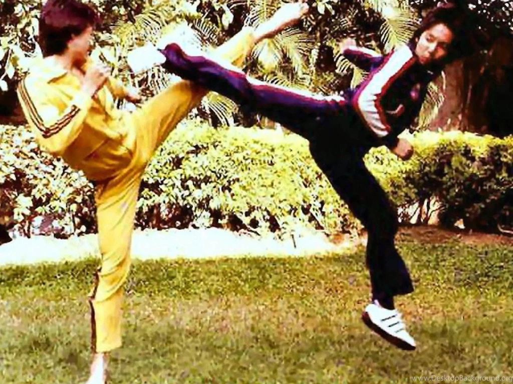 Martial Arts Wallpapers Free Download Wallpapers Free Martial ...