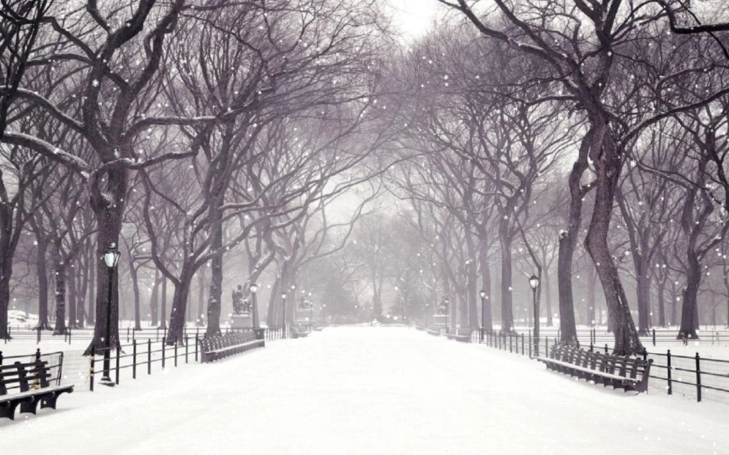 What Winter Activity Are You?