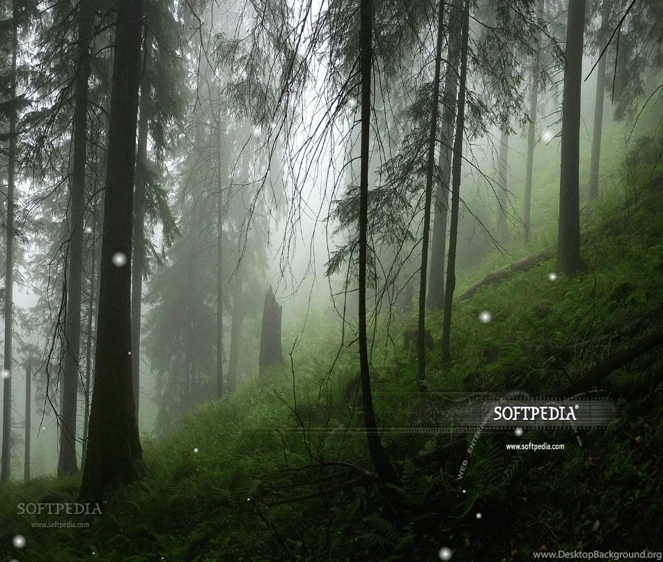 Animated Snow Wallpapers Download
