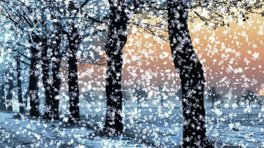 Winter Snow Wallpapers Animation 473078