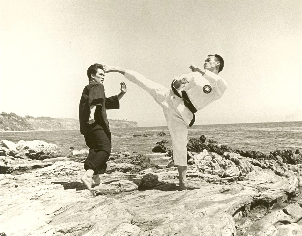 Karate Highkick Roundhouse Martial Arts