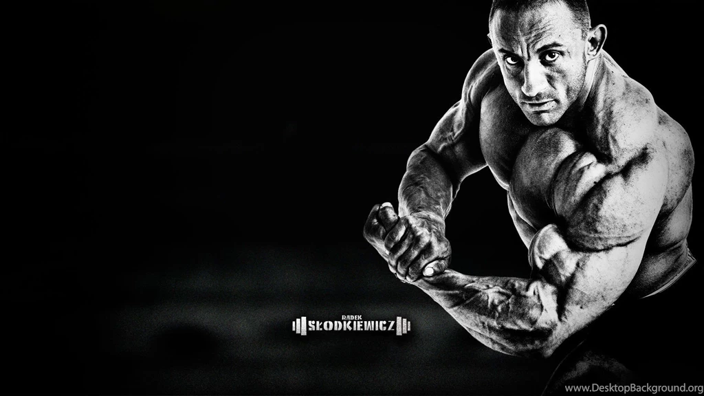 Gym wallpaper_1.jpg