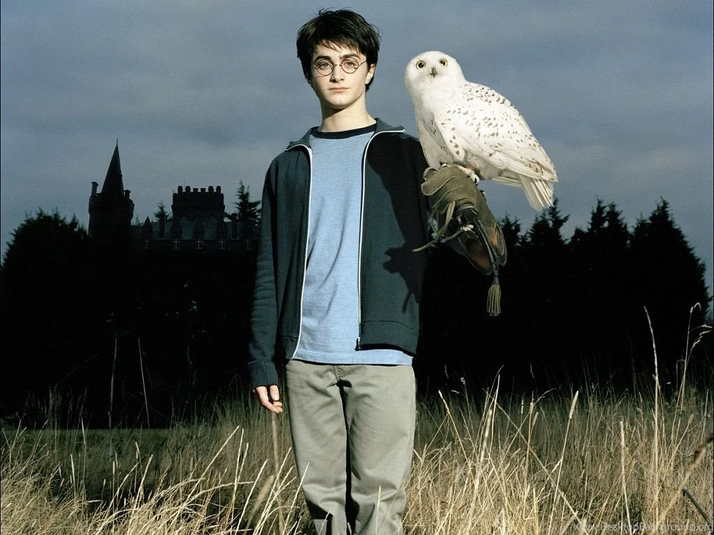 The Movie   Prisoner Of Azkaban Wallpapers (31843747)   Fanpop