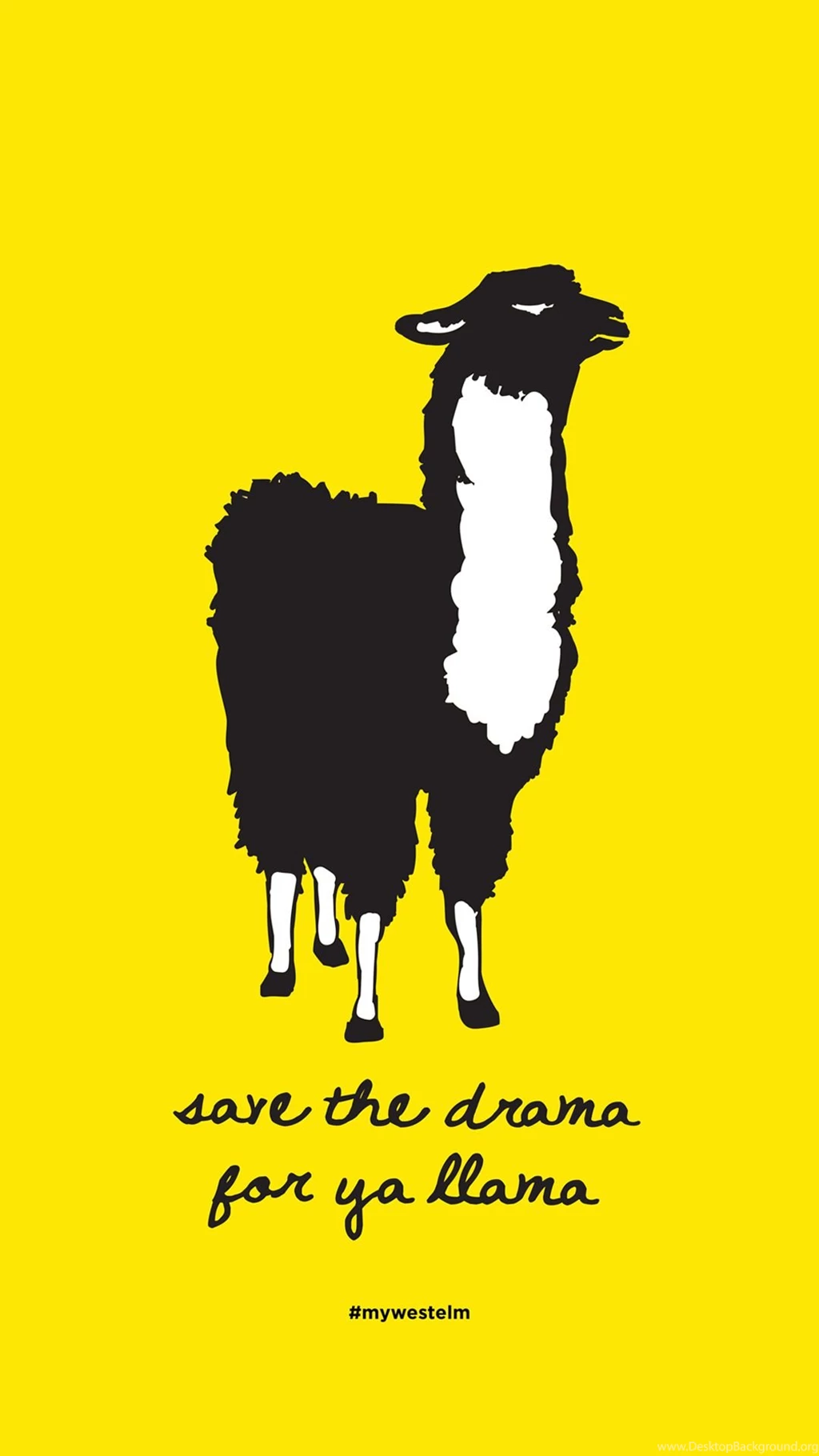 FREE DOWNLOAD: Save The Drama For Your Llama Poster : Front + Main
