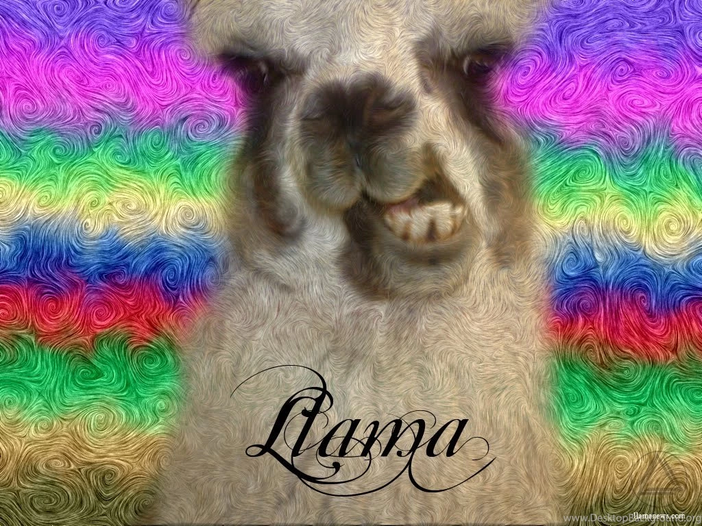 Kelly Blog: Llama Backgrounds