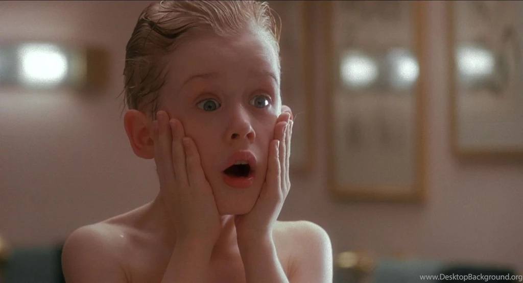 NATIONAL LAMPOONS CHRISTMAS VACATION National Lampoon Christmas ...