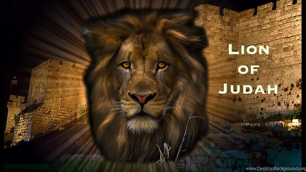 Pic > Free Pictures Of Lion Of Judah