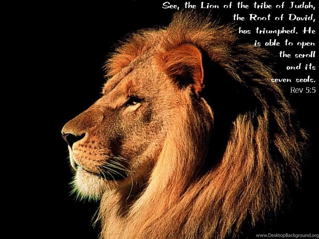 Pictures Of Lion Of Judah Wallpapers HD Fine