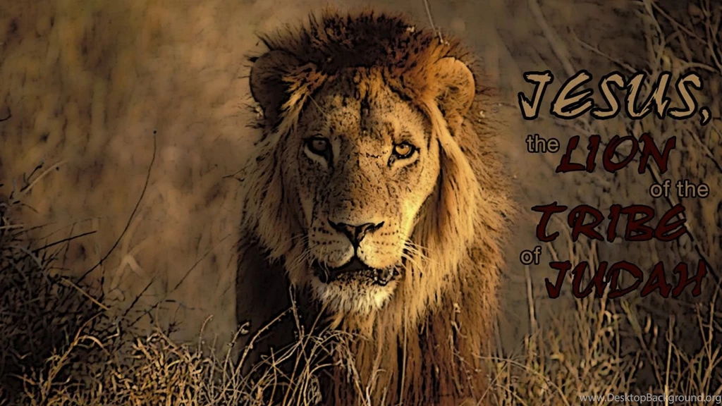 The Lion!