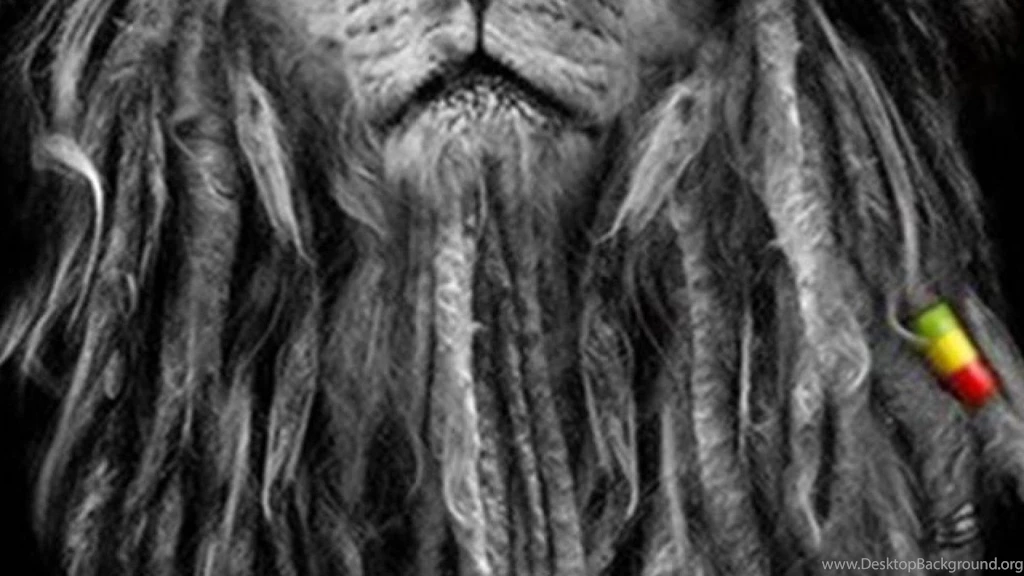 Rasta Lion Wallpapers   Wallpapers Cave