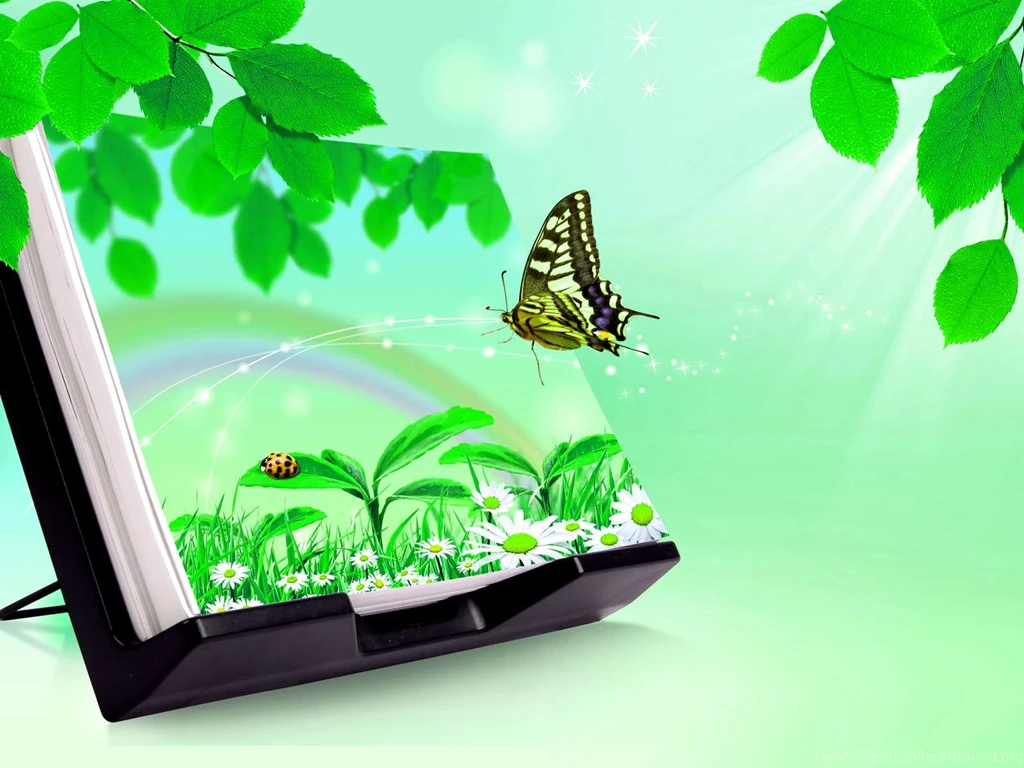 3d Wallpapers Hd Nature 3d Butterfly Wallpapers Free Download For