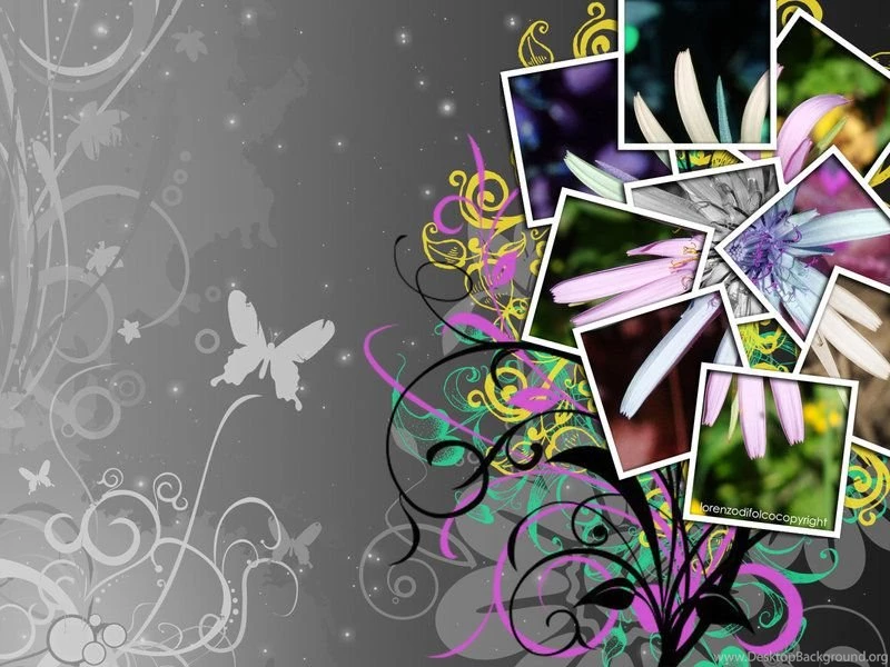 Wallpapers Collage Flower By LorenzoDiFolco On DeviantArt