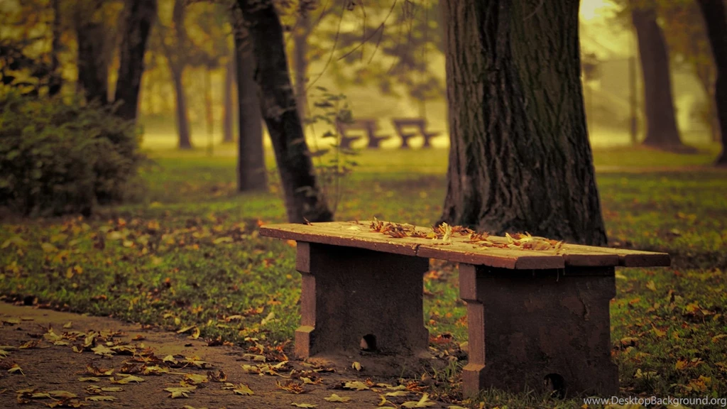 Download Wallpapers 1920x1080 Bench, Park, Leaves, Autumn, Trees ...