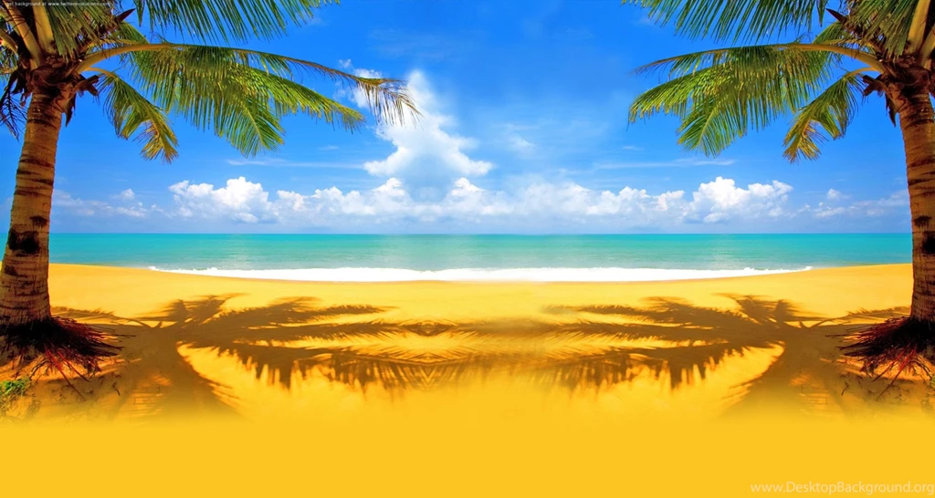 Twitter Backgrounds With Palm On A Beach Twitterevolutions