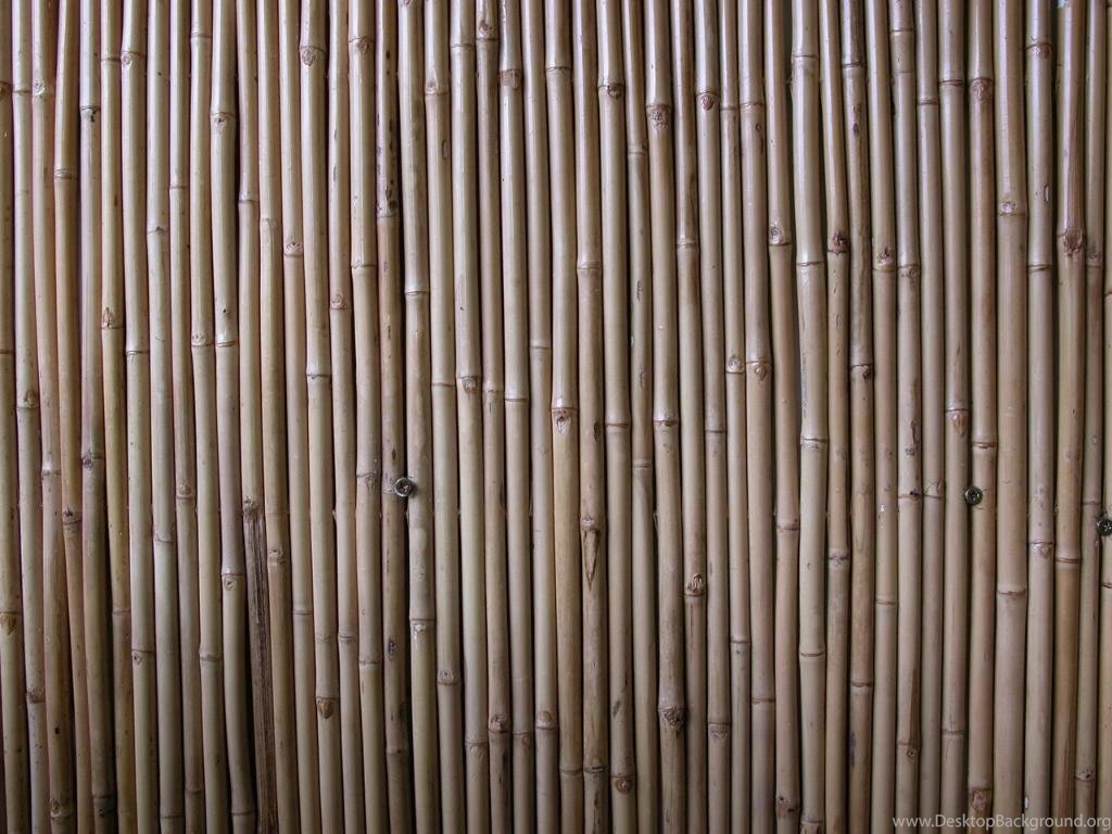 Download Texture: Bamboo, Texture Bamboo?, Bamboo Texture, Photo ...