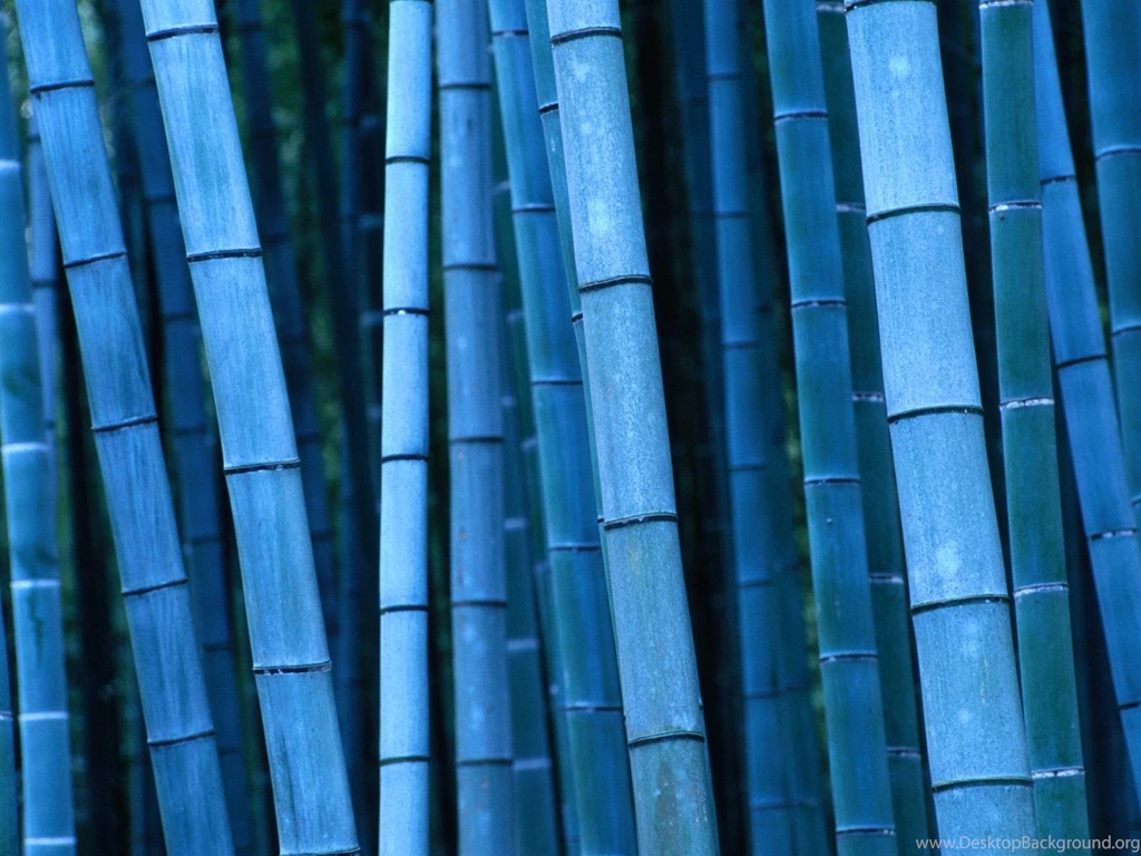 Bamboo Wallpaper: Bamboo Textured Wallpapers