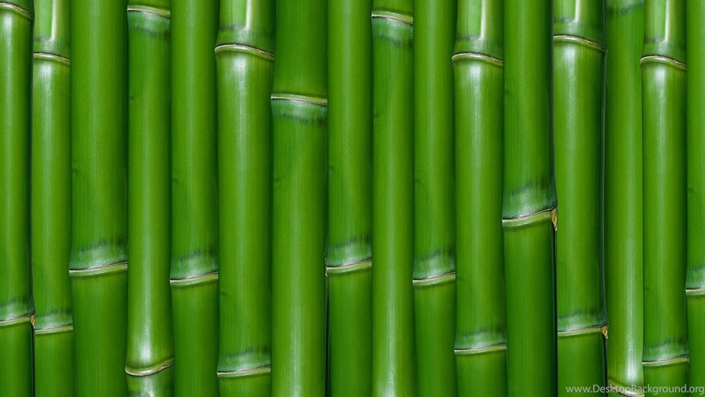Pictures > Bamboo Wallpapers Texture