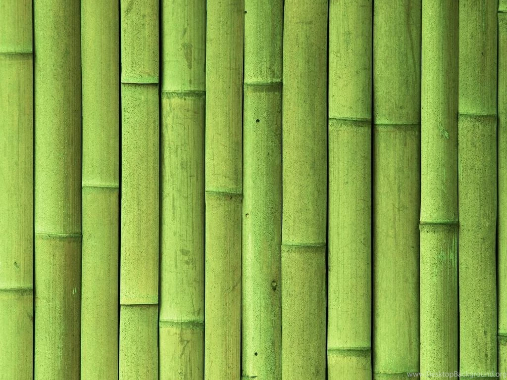Bigstock Green bamboo wall texture 19433033.jpg Photo By Lwna ...