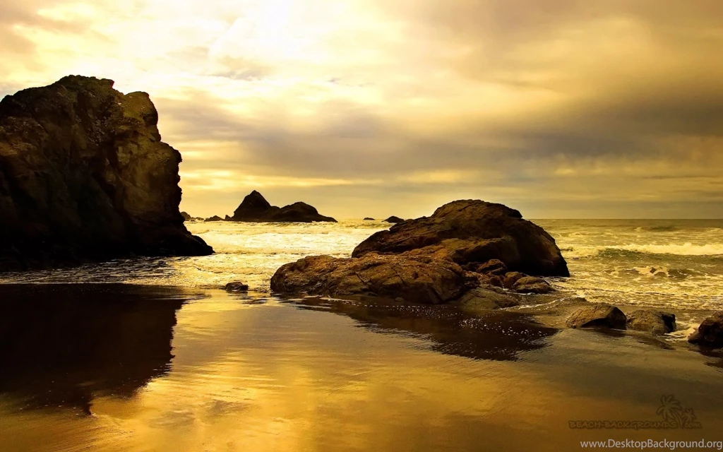 Sepia Beach Wallpapers 6338