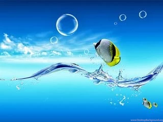 Soft Snappy: PC Wallpapers