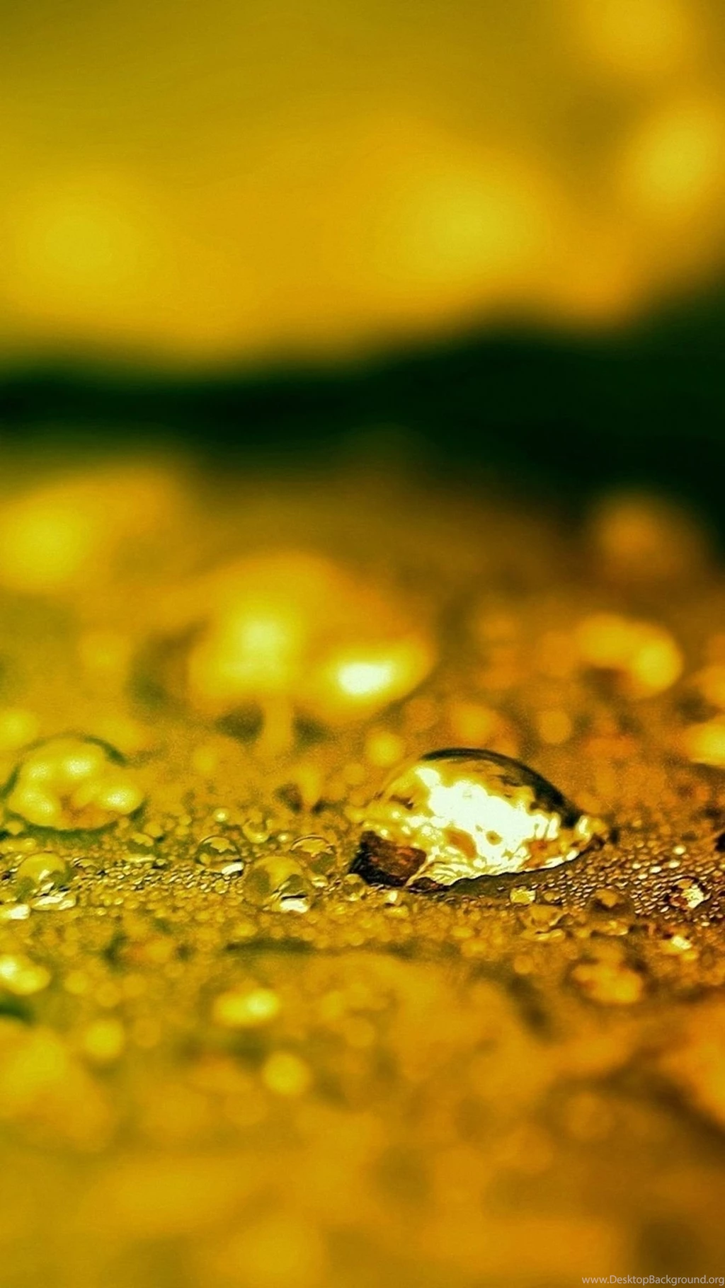 Wet Leaf Bokeh Galaxy S4 S5 Wallpapers HD 1080x1920