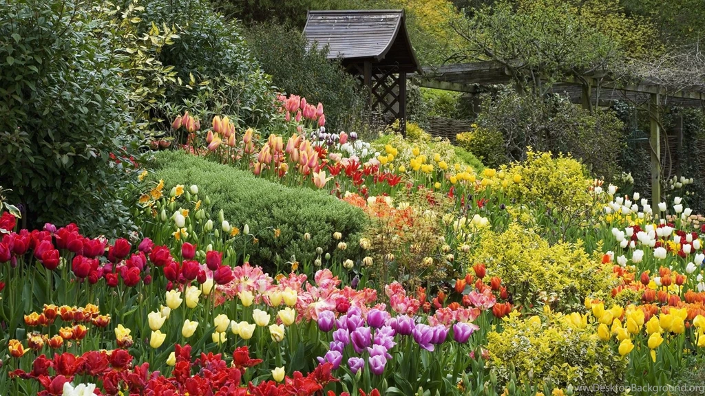 6 Rose Garden English Wallpapers With 1920x1080 Resolution 457 ...