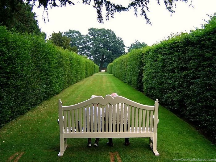 Borde Hill Garden Wallpapers 1600*120 2 Wallcoo.net