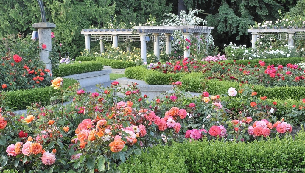 Download Garden Vancouver Wallpapers 1920x1089
