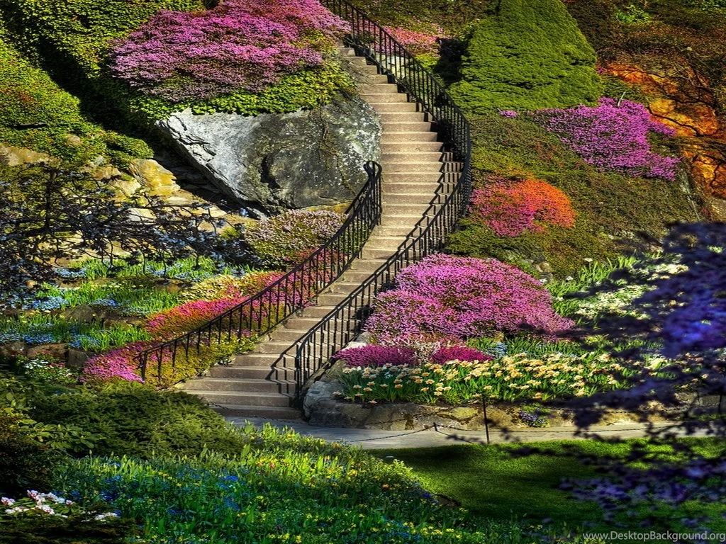 Soul Gardening Tools To Strengthen And Deepen Intuition ...