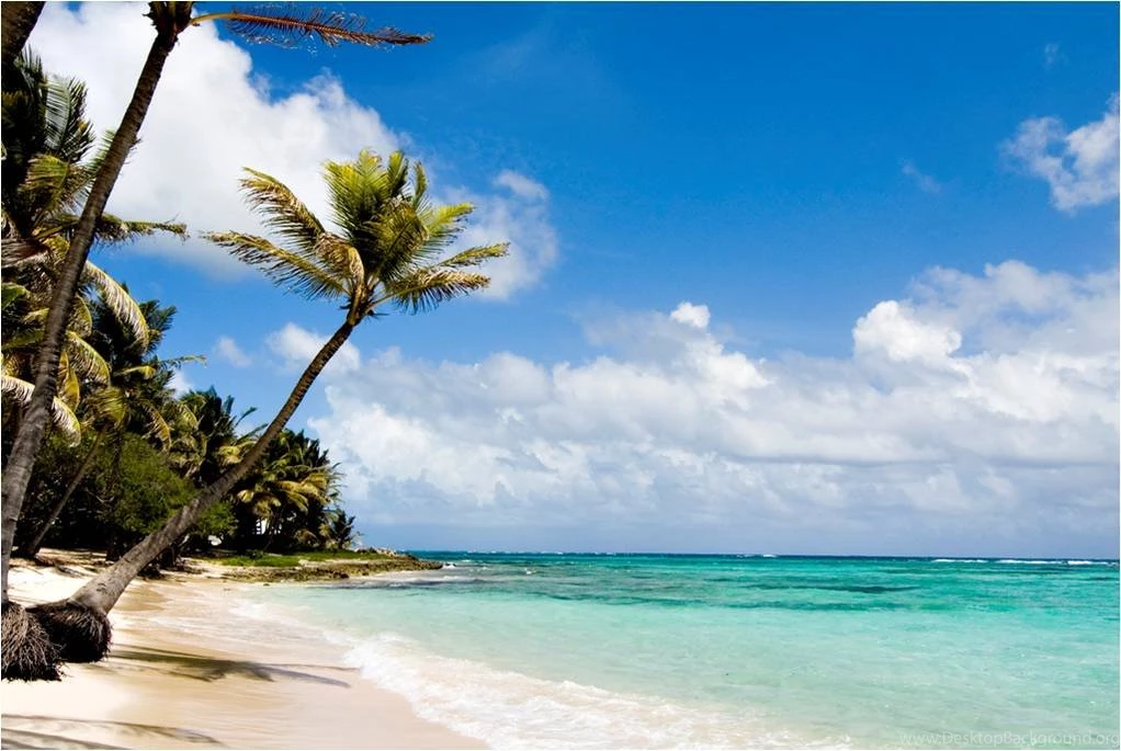 New Beach Therapy.com Desktop Backgrounds Gift