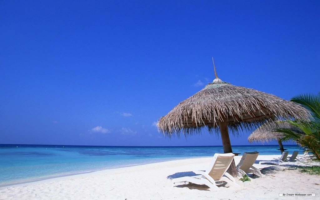 Free Beach Background Images Wallpapers Cave