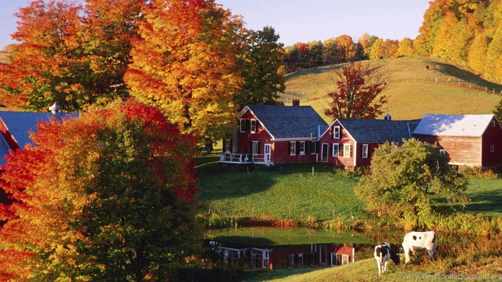 Autumn Desktop Wallpapers HD Wallpaper Backgrounds Of Your Choice
