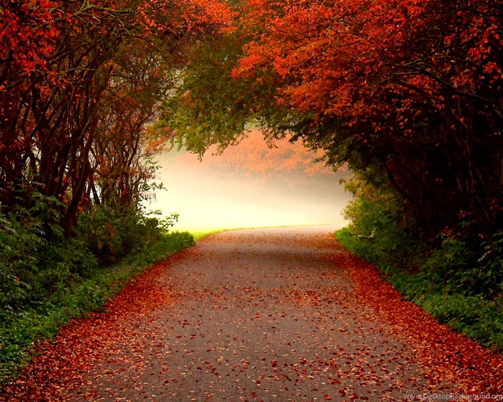 Autumn Desktop Wallpapers Free