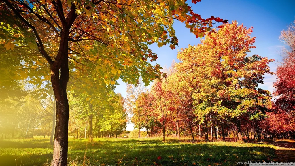 1366x768 Desktop Wallpapers