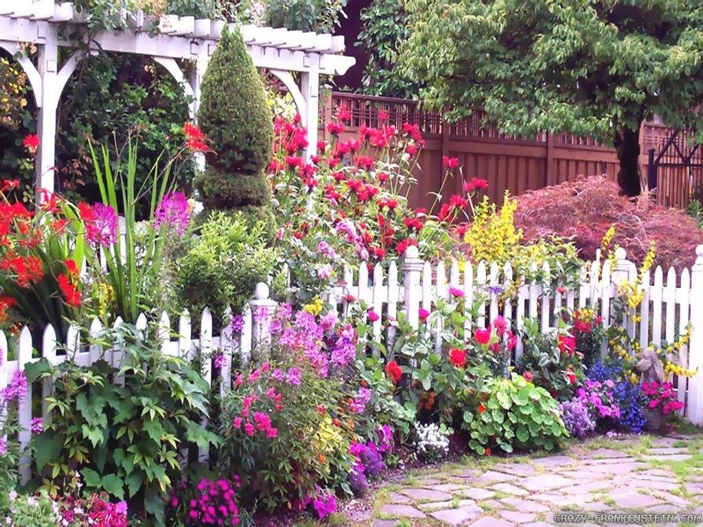 Summer Garden Wallpapers Crazy Frankenstein