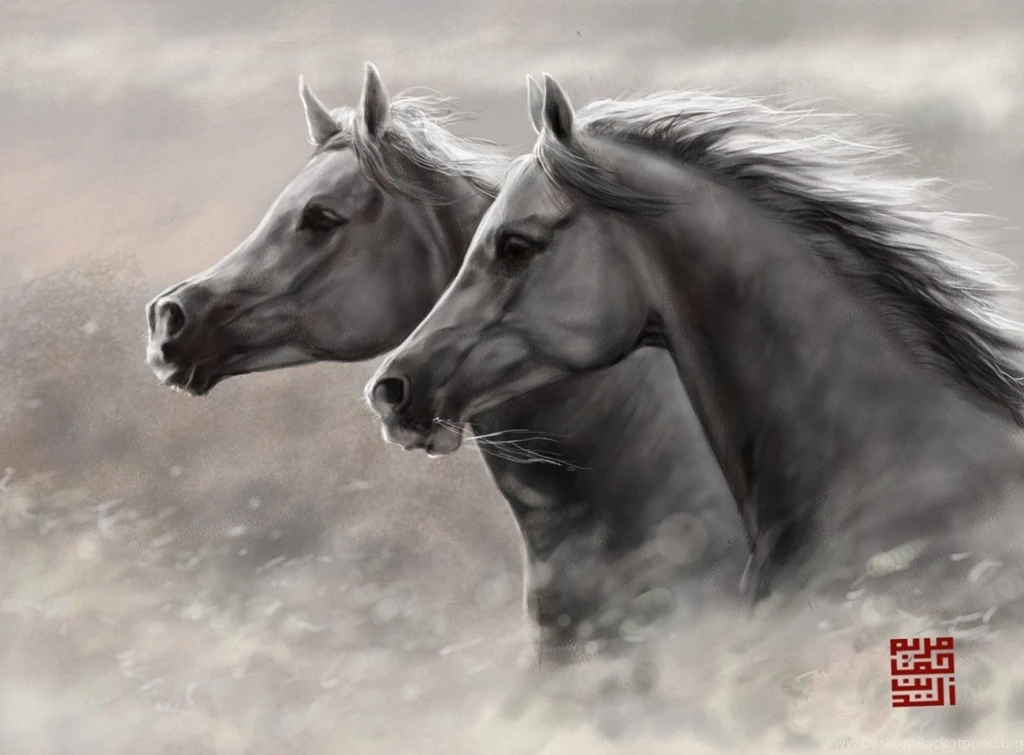 Art Horse Head Running The Pair HD Wallpapers