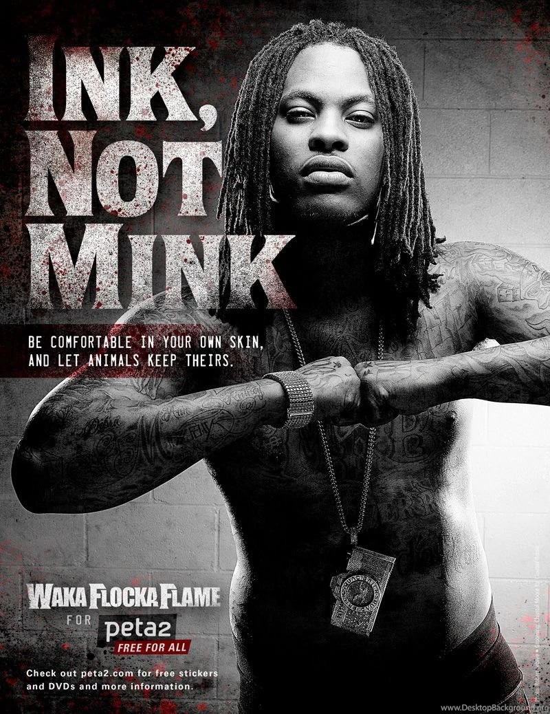 Waka Flocka Flame: 'Only Cowards Abuse Animals'