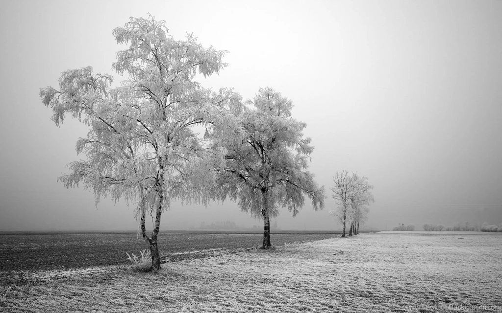 Windows 7 desktop backgrounds first frost free backgrounds « All ...