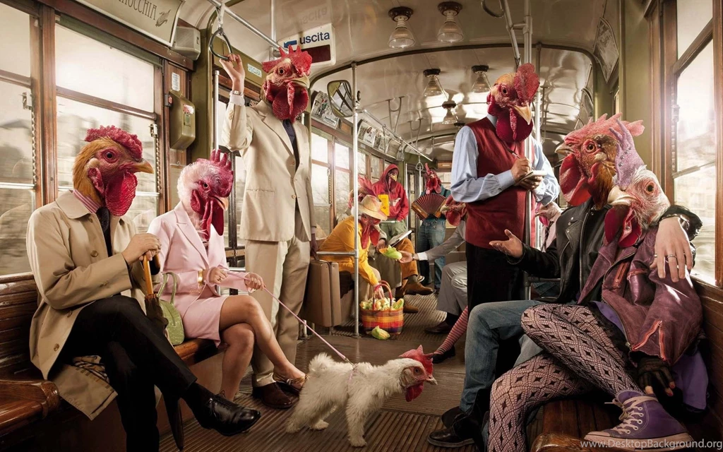 A Trip To The Henhouse Wallpapers And Images   Wallpapers ...