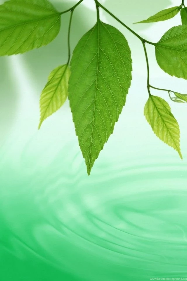 Free Wallpapers Download, Free Desktop Wallpapers Downloads