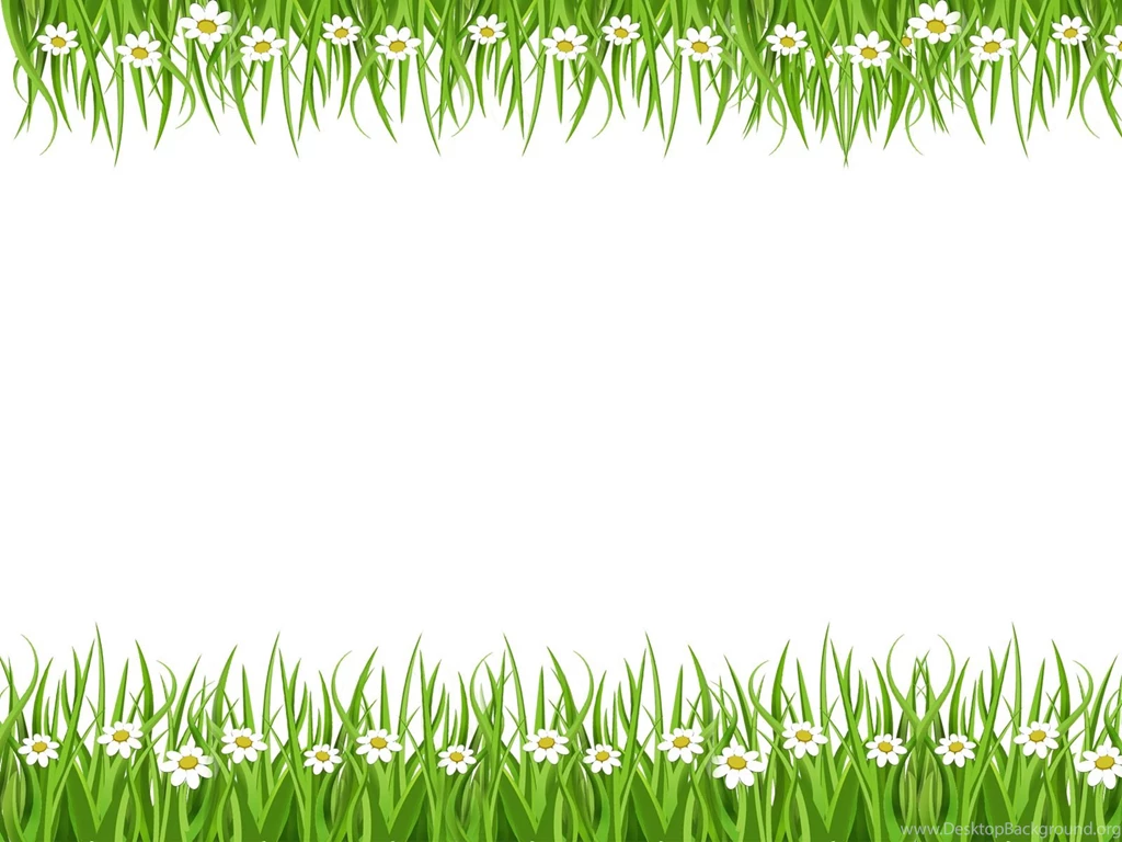 Summer Flowers Beautiful Backgrounds Design, Flowers, Green ...