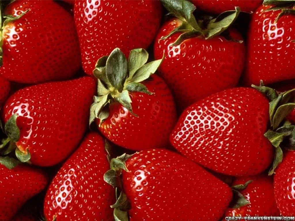 Strawberry Fruit Wallpapers   Crazy Frankenstein