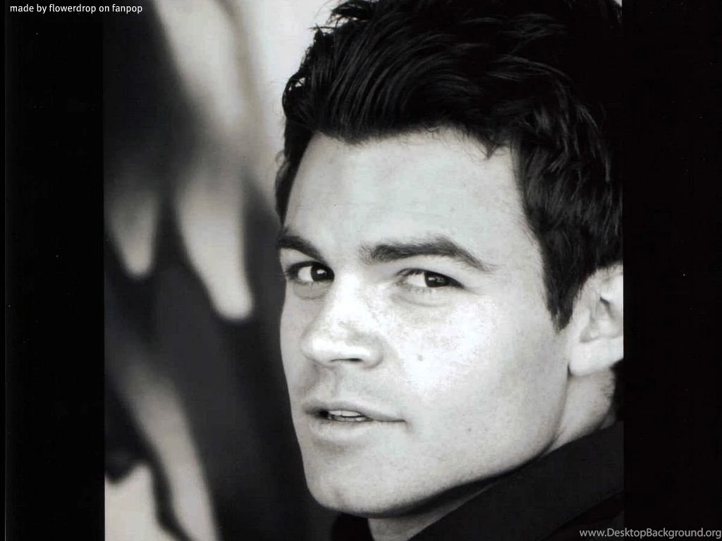 Daniel Gillies HD Wallpapers