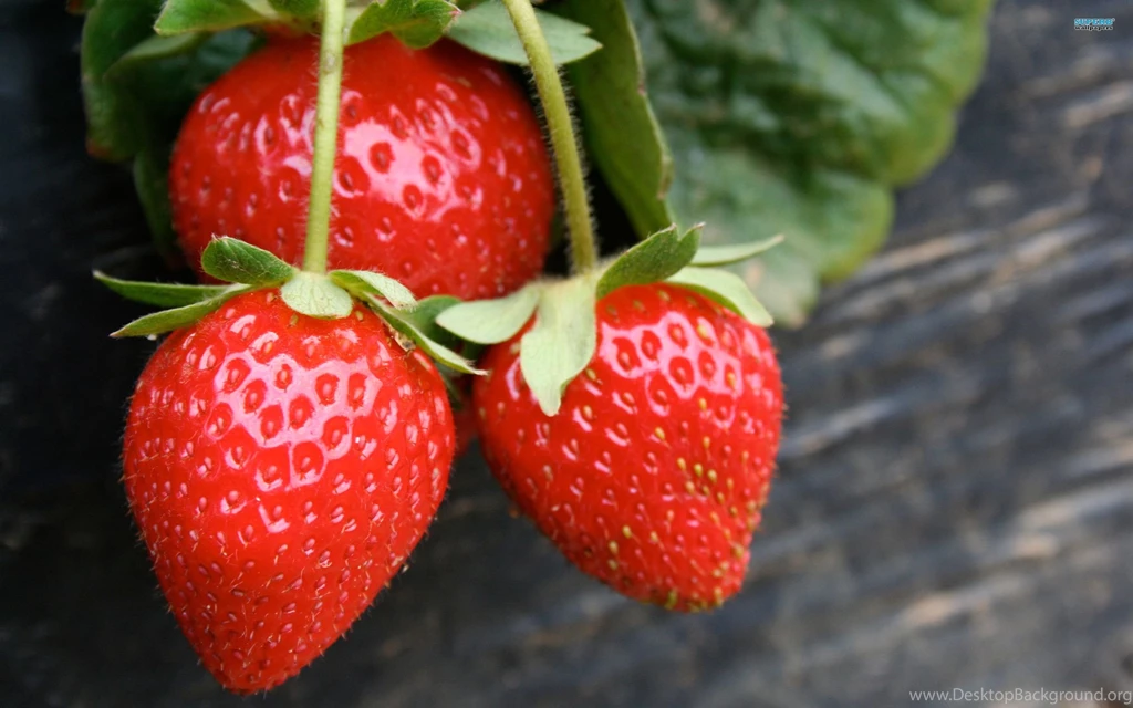Strawberries Wallpapers   Photography Wallpapers