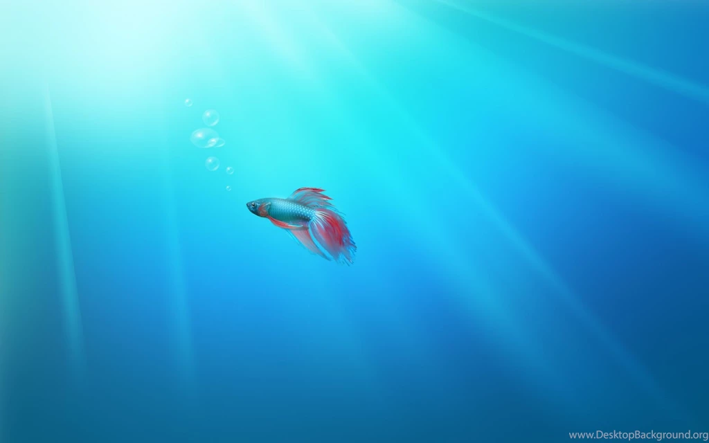 Windows 7 Default Wallpapers Pics
