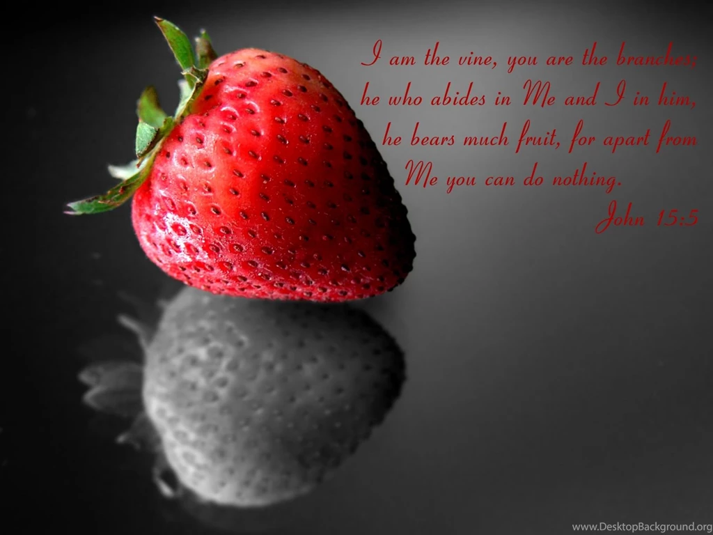 WPE: Strawberry Fruit By Christians On DeviantArt