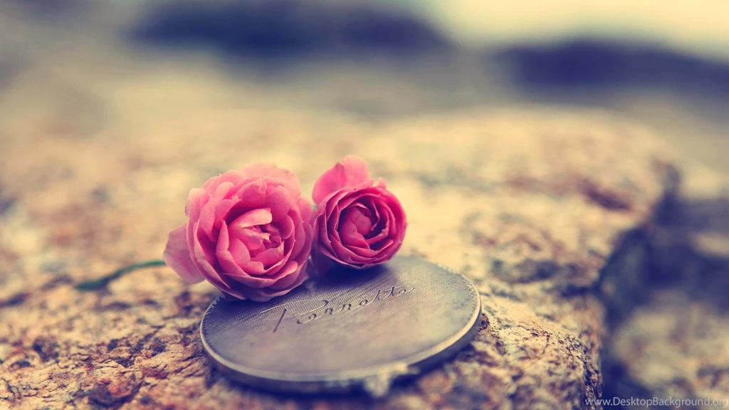 Love flowers wallpaper.jpg